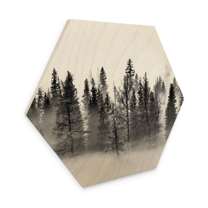 Hexagon Holzbild Nebelwald in Schwarz-Weiss - Xu - WA400771