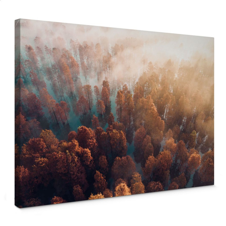 Leinwandbild Herbstwald im Nebel - Ioricon - WA402692