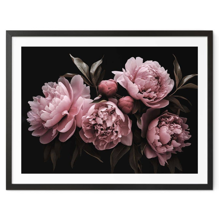 Poster Pfingstrose rosé - Haase - WA407210