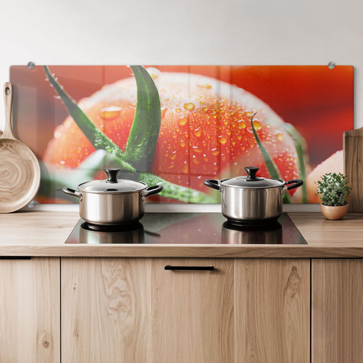 Spritzschutz Fresh Tomato - Panorama - WA178264