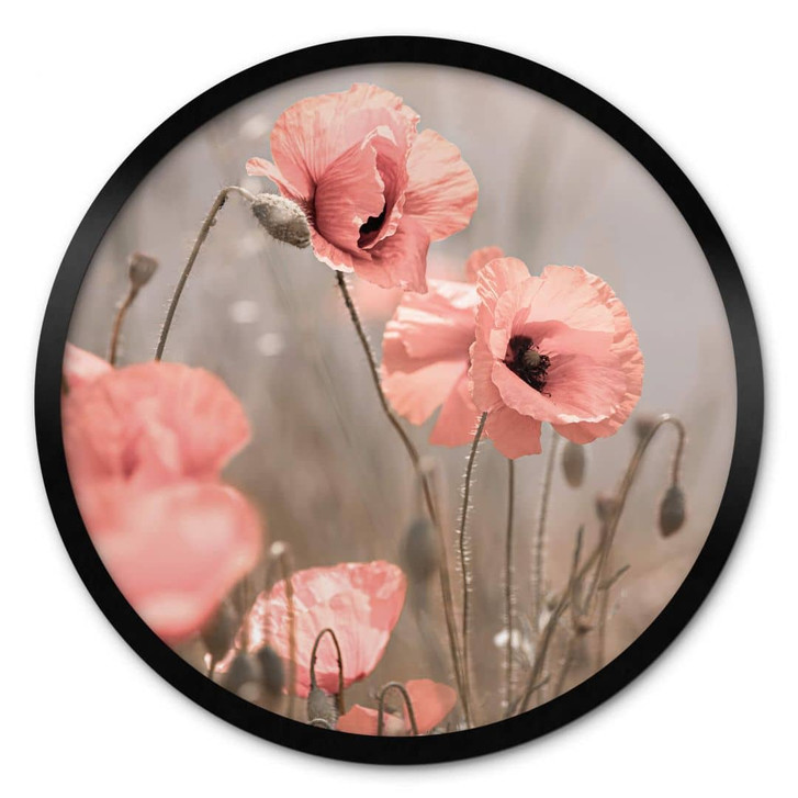 Poster Delgado - Mohnblumenromantik - Rund - WA328650