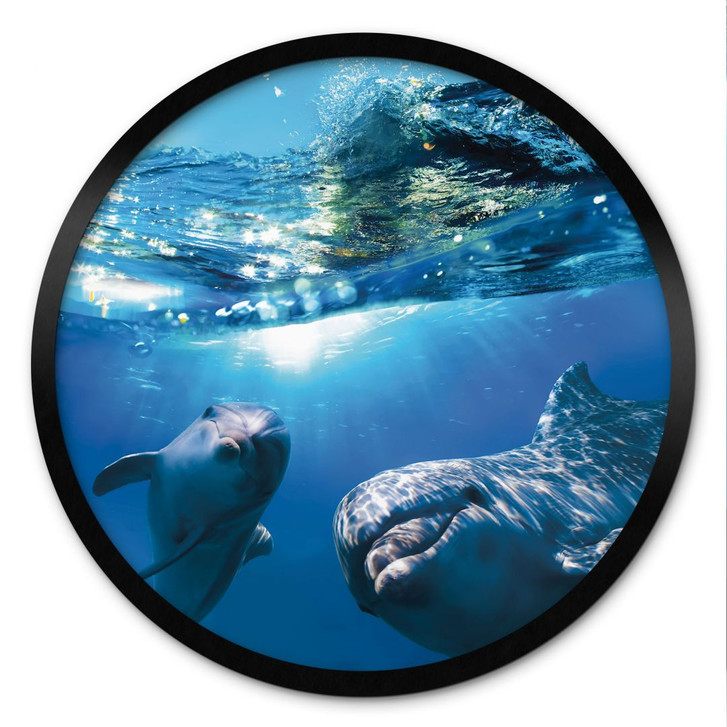 Poster Dolphins Underwater - Rund - WA485977
