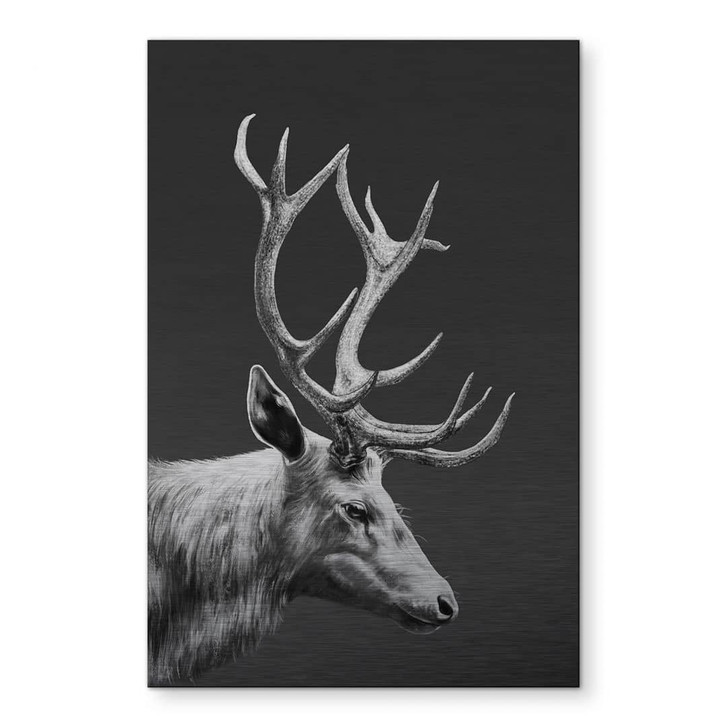 Alu-Dibond mit Silbereffekt Hirsch mit Geweih schwarz-weiss - Roberg - WA441607