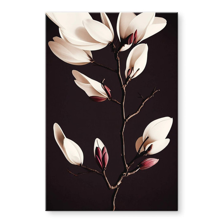 Acrylglasbild Edle Magnolienblüten - Treechild - WA392818