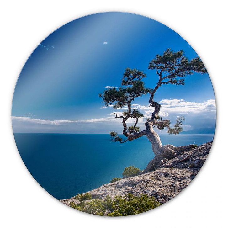 Glasbild Sea and Tree - rund - WA127540