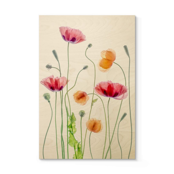 Holzbild Bunte Mohnblumen - Disher - WA401365