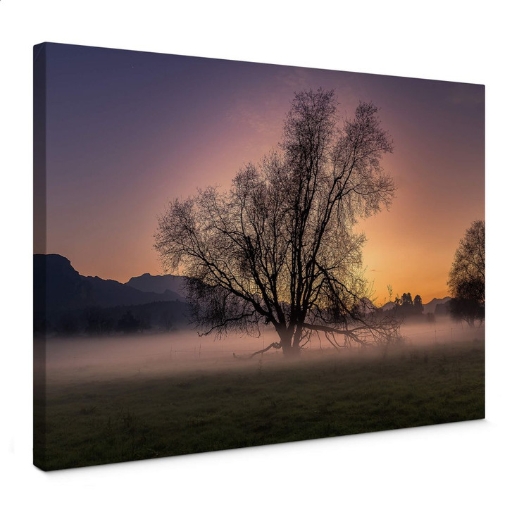 Leinwandbild Cuadrado - The Fog - WA361346
