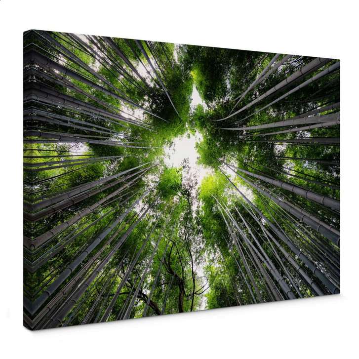 Leinwandbild Hugonnard - Wald in Japan - WA310414