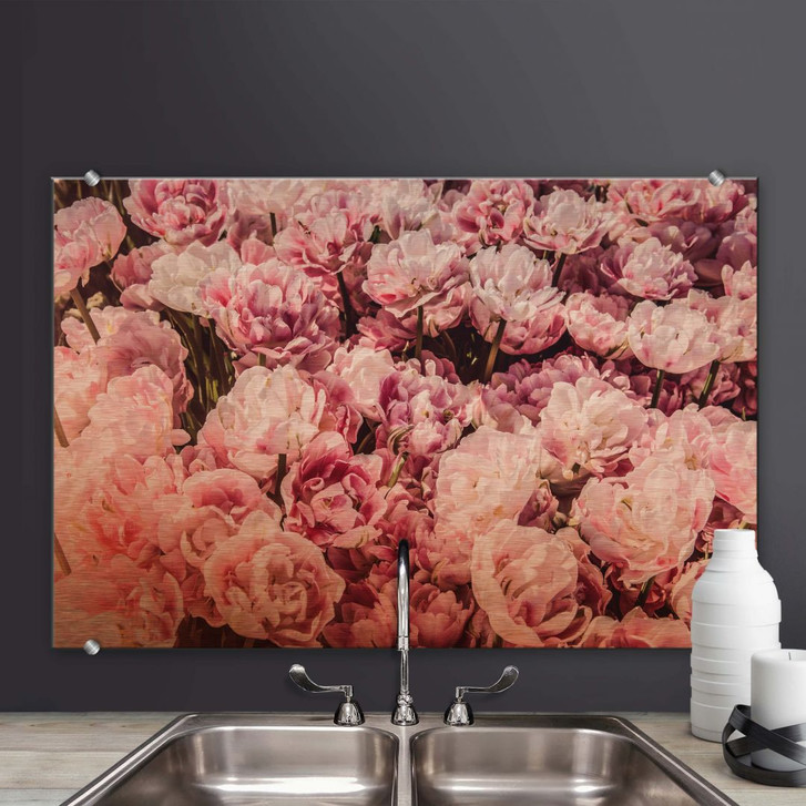 Spritzschutz - Pfingstrosen - WA250006