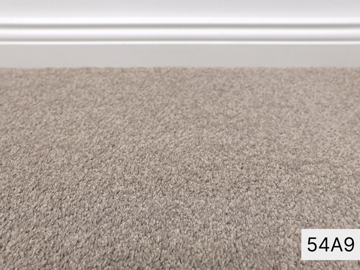 Violetta Vorwerk Teppichboden Meterware in 54A9 - TS521462