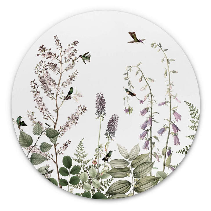 Alu-Dibond Sir Edward - Kolibris im Garten - Rund - WA352183