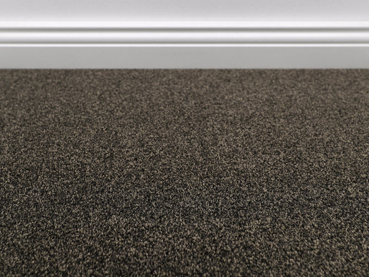Evolve Teppichboden Meterware in 94 - TS554214