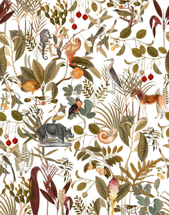 Fototapete Motivtapete Safari Collage mit Okapi, Nashorn und Vögeln auf hellem Grund 2.7 x 2.12 m - WA505239