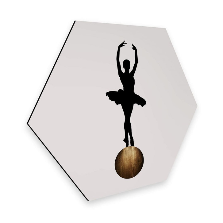Hexagon - Alu-Dibond Kubistika - Prima Ballerina - WA297655