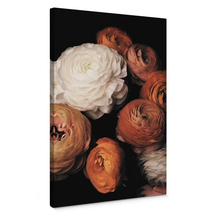 Leinwandbild FiguraNYC Photography - Ranunkeln Stillleben - WA362919