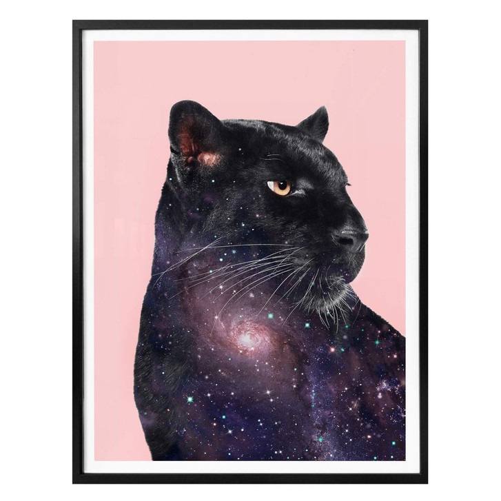 Poster Loose – Galaxy Panther - WA281741