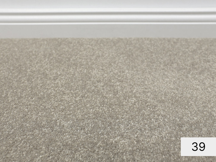 Satisfaction Velours Teppichboden Meterware in 39 - TS504149