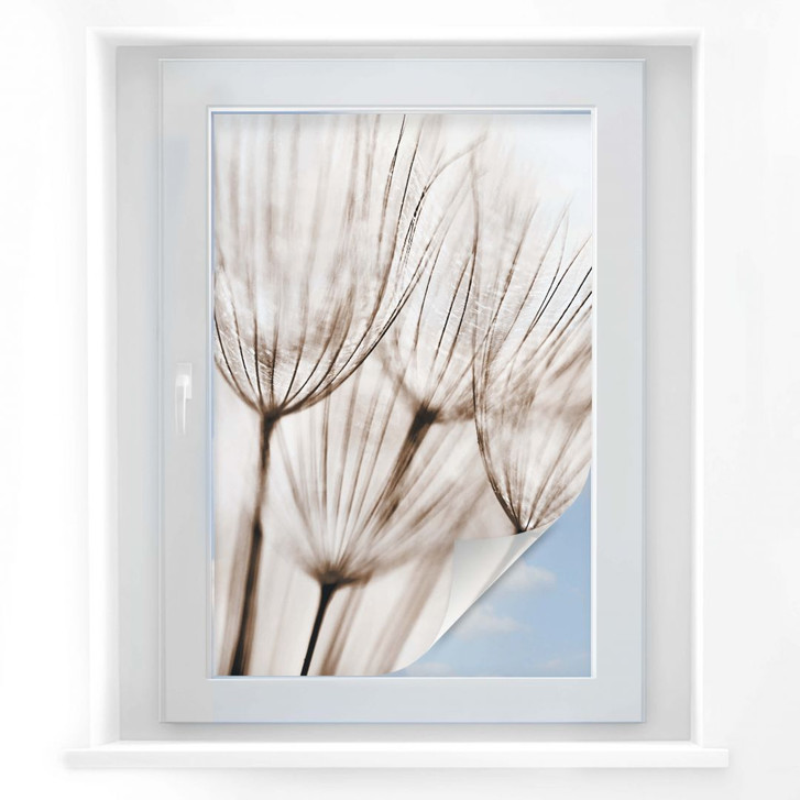 Sichtschutzfolie Fliegerschirmchen - WA174873