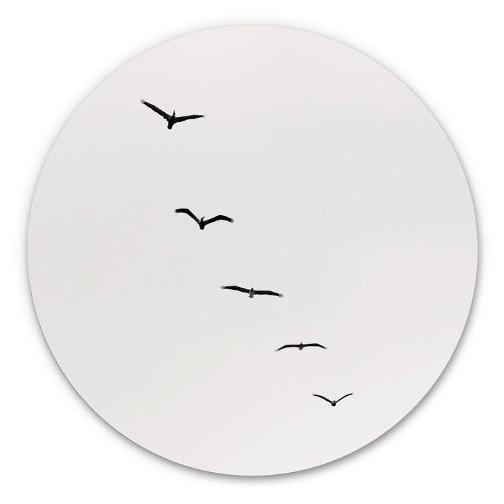 Alu-Dibond Kubistika - Hoch am Himmel - Rund - WA344830