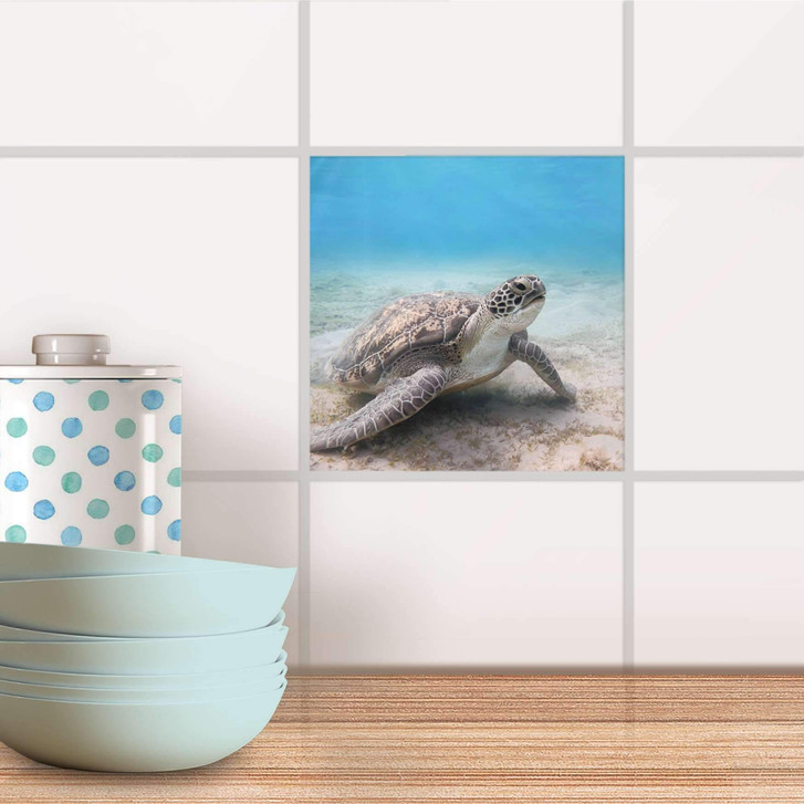 Fliesenaufkleber - Green Sea Turtle - CR100984