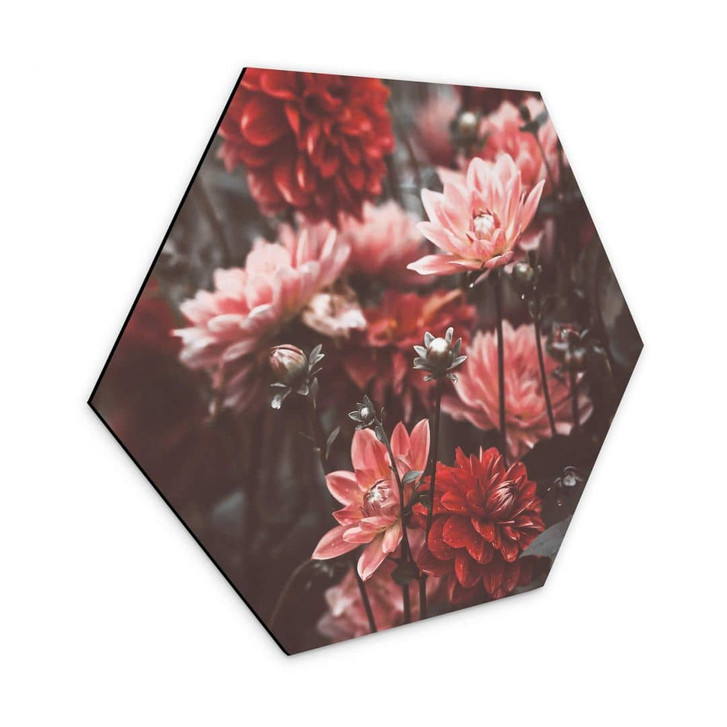 Hexagon - Alu-Dibond Annie - Sommerblüten - WA315495