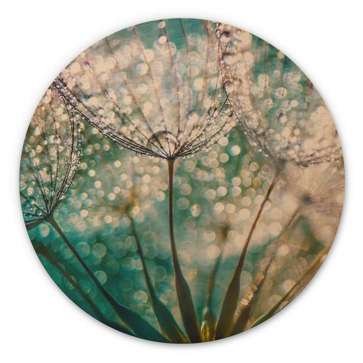 Holzbild Delgado - Funkelnde Pusteblume - Rund - WA332853
