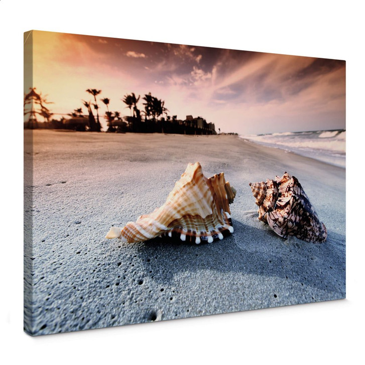Leinwandbild Muschelparadies - WA370859