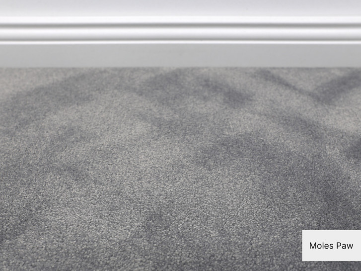 Cannes Softflor Teppichboden Meterware in Moles Paw - TS503784