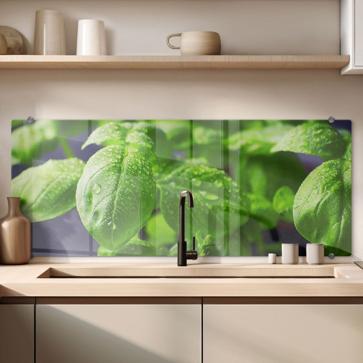 Spritzschutz Frisches Basilikum - Panorama - WA134858