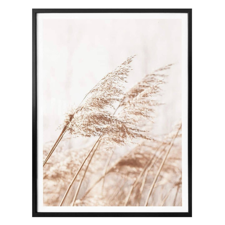 Poster Gräser im Wind - WA323061
