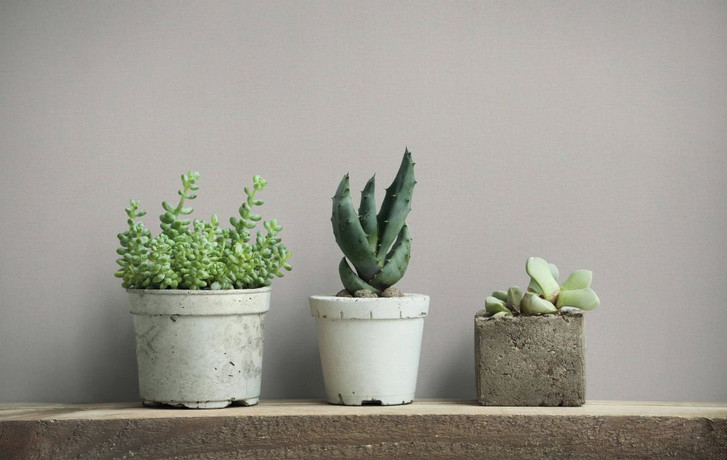 Vliestapete Grau Textiloptik für Wohnzimmer Schlafzimmer Büro marburg Tapete - WA445237