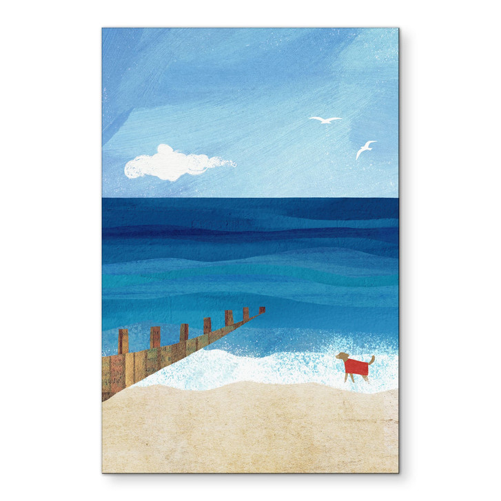 Wandbild Sommerstrand mit Hund am Meer - Rivers - Alu-Dibond - WA518634