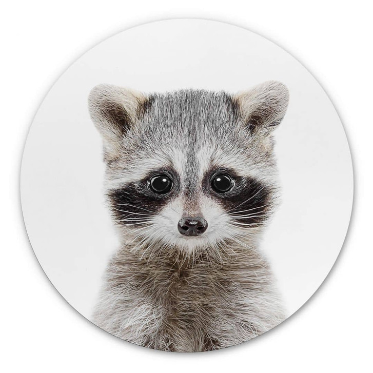 Alu-Dibond Sisi & Seb - Baby Waschbär - Rund - WA319972