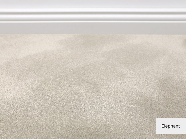 Cannes Softflor Teppichboden Meterware in Elephant - TS503766