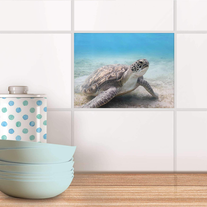 Fliesenfolie - Green Sea Turtle - CR104106