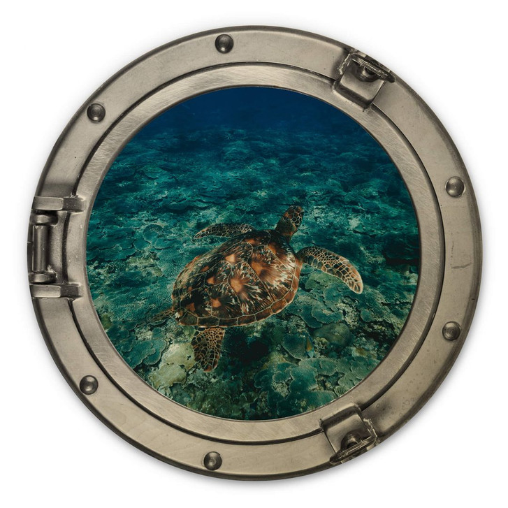 Holzbild 3D Optik - Schildkröte von oben - Rund - WA309612