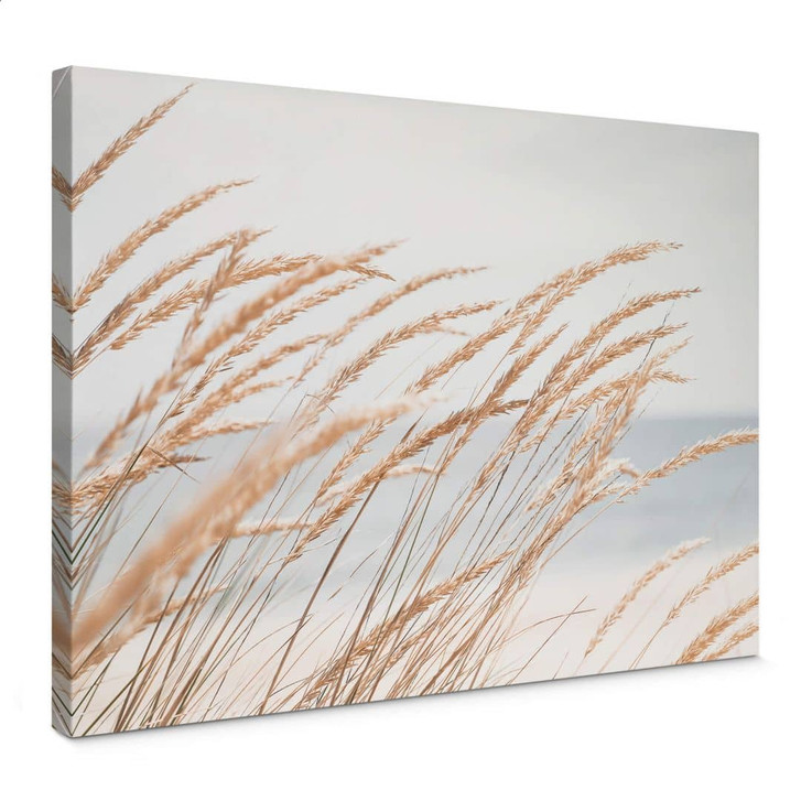 Leinwandbild Dünengras - WA321724