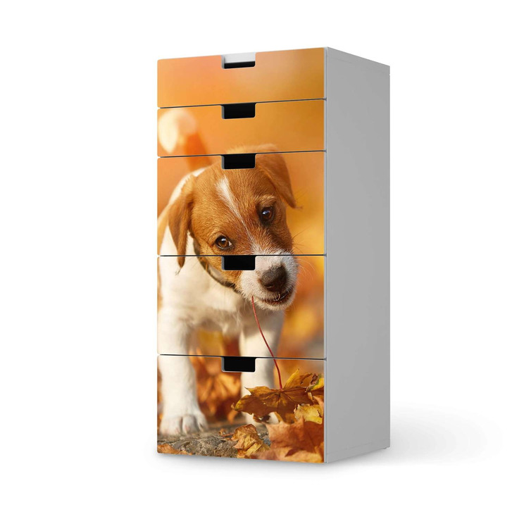 Möbel Klebefolie IKEA Stuva / Malad Kommode - 5 Schubladen - Jack the Puppy - CR114109
