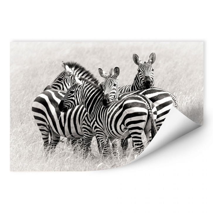 Wallprint Trubitsyn - Zebras in der Savanne - WA190011