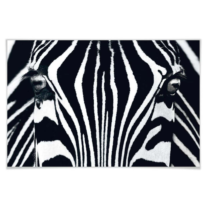 Giant Art® XXL-Poster Black & White I - 175x115cm - WA295189