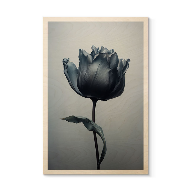 Holzbild Samtige Tulpe in Schwarz - Paksoylu - WA425599