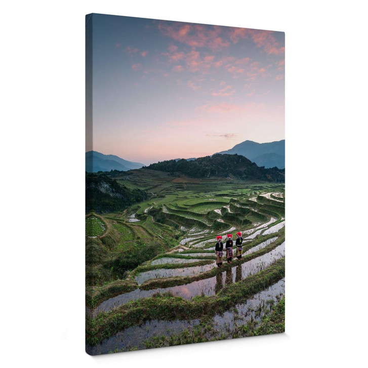 Leinwandbild Colombo - Reisterrassen in Vietnam - WA360799
