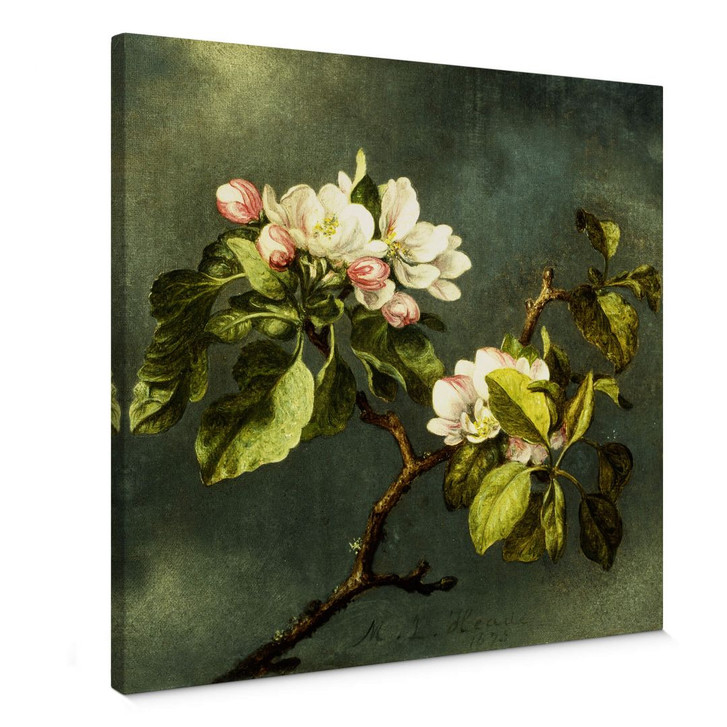 Leinwandbild Heade - Apfelblüten - WA364925