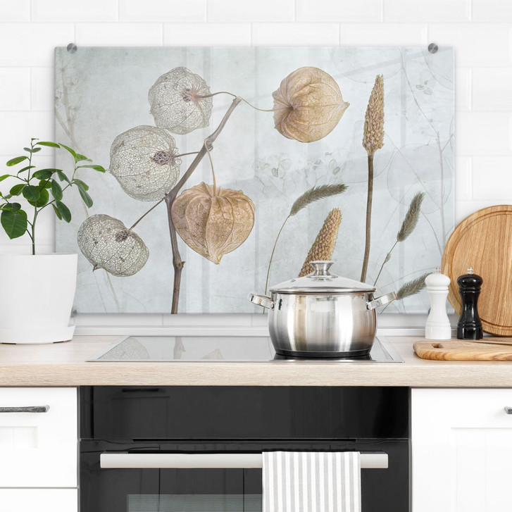 Spritzschutz Getrocknete Lampionblumen - Disher - WA410525