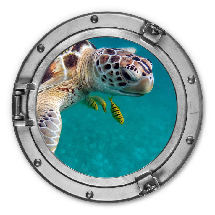 Alu-Dibond 3D Optik - Unterwasserfreunde - Rund - WA308198