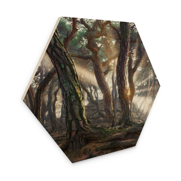 Hexagon-Holzbild Heiliger Kiefernwald - Ryu - WA432366