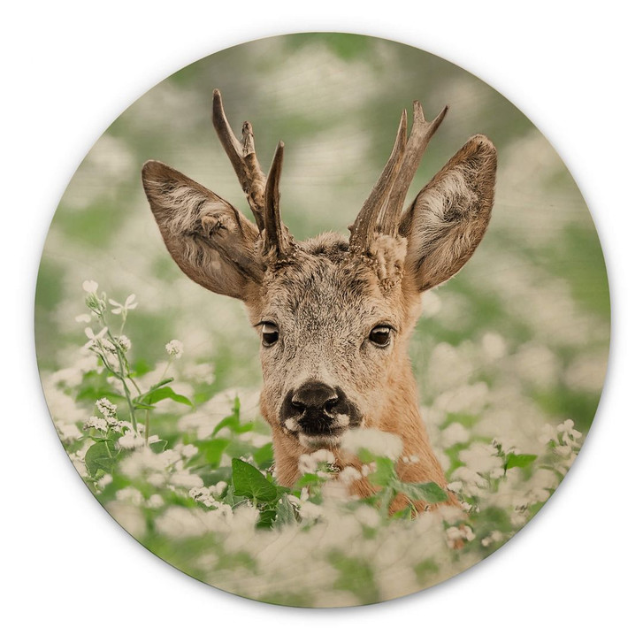 Holzbild van Duijn - Junger Rehbock im Heidekraut - Rund - WA355716