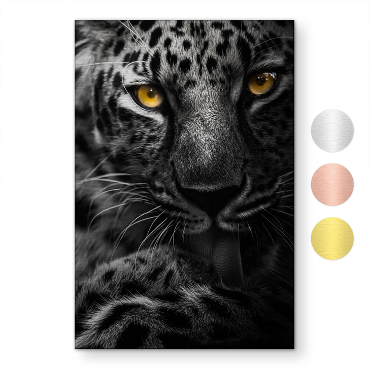 Alu-Dibond gebürstet mit Goldeffekt - Leopard mit intensivem Blick - Maron Photography - WA517480