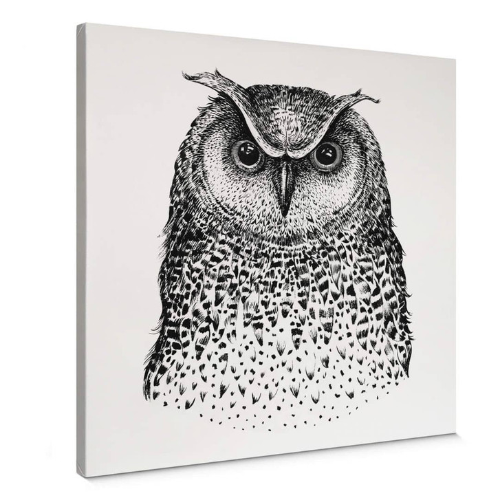 Leinwand Kvilis - Eule 01 - WA356582