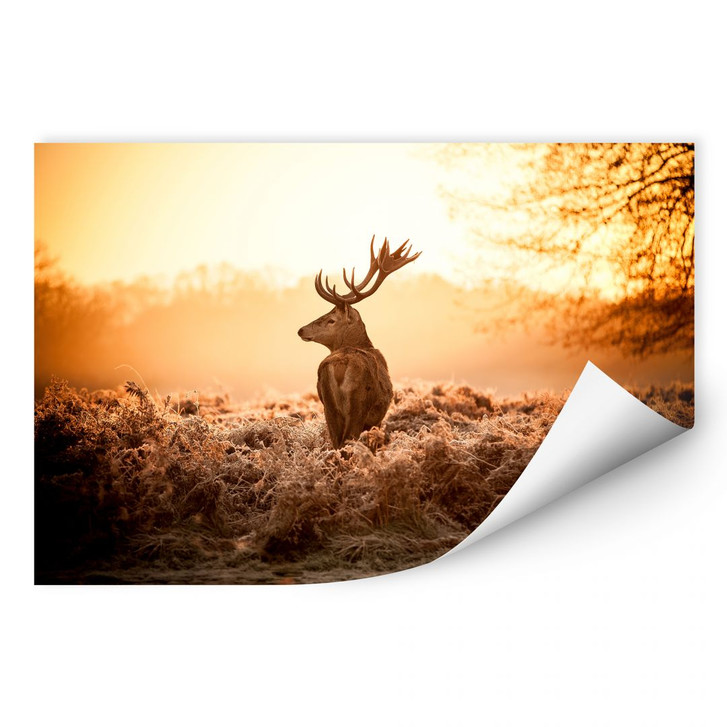 Wallprint Majestätischer Hirsch - WA186458
